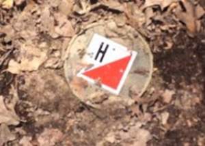 orienteering marker